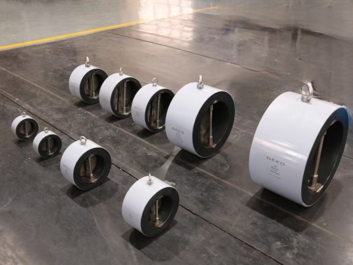 Dual Plate Check Valve with spring-loaded semicircular plates for one-way flow.