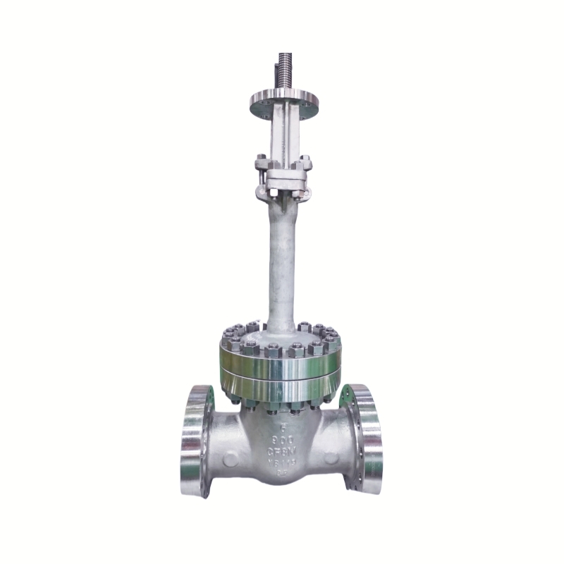 Extended stem cryogenic gate valve